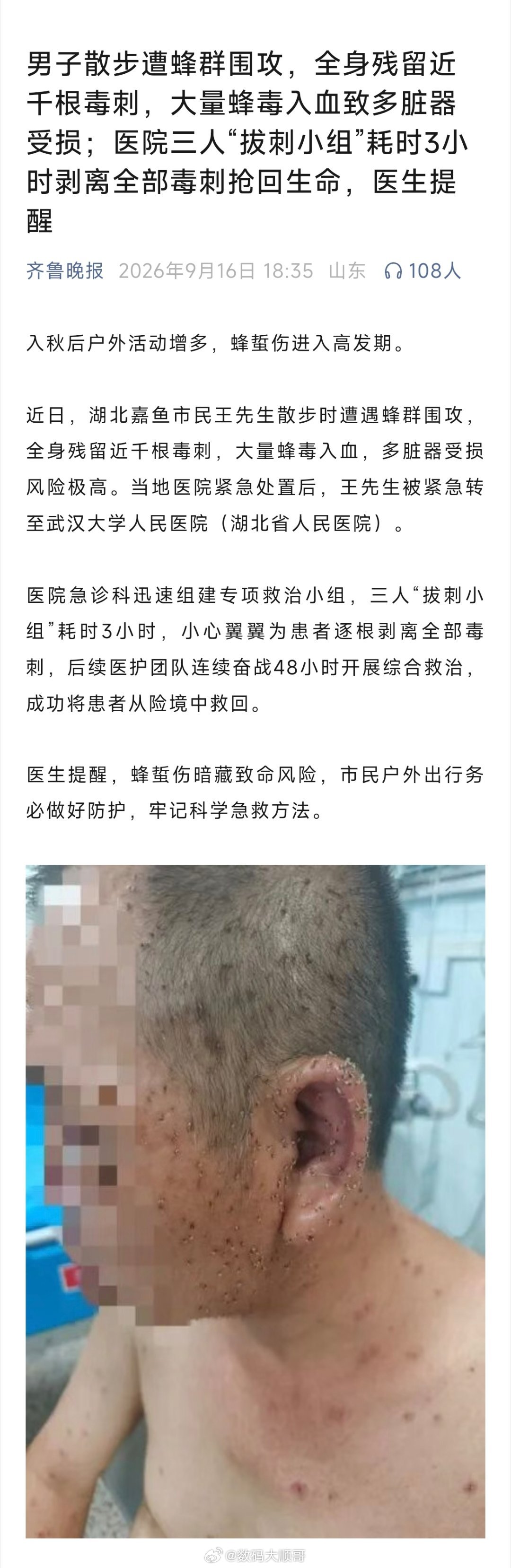 一定要远离马蜂窝～​​​