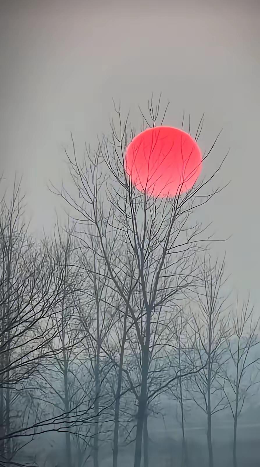 能让别人快乐的人，一定很善良，能让自己快乐的人，一定很聪明。生活的琐碎如同