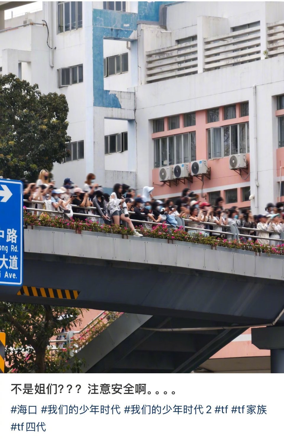 当地文旅要吓晕了