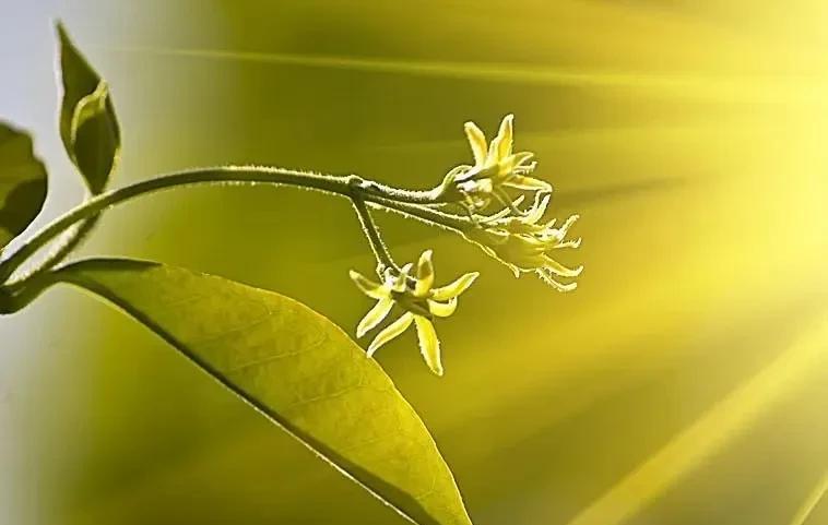 带过两个孩子，才明白的道理……想让孩子乐观，长的阳光，远离苦瓜脸，父母首先不能