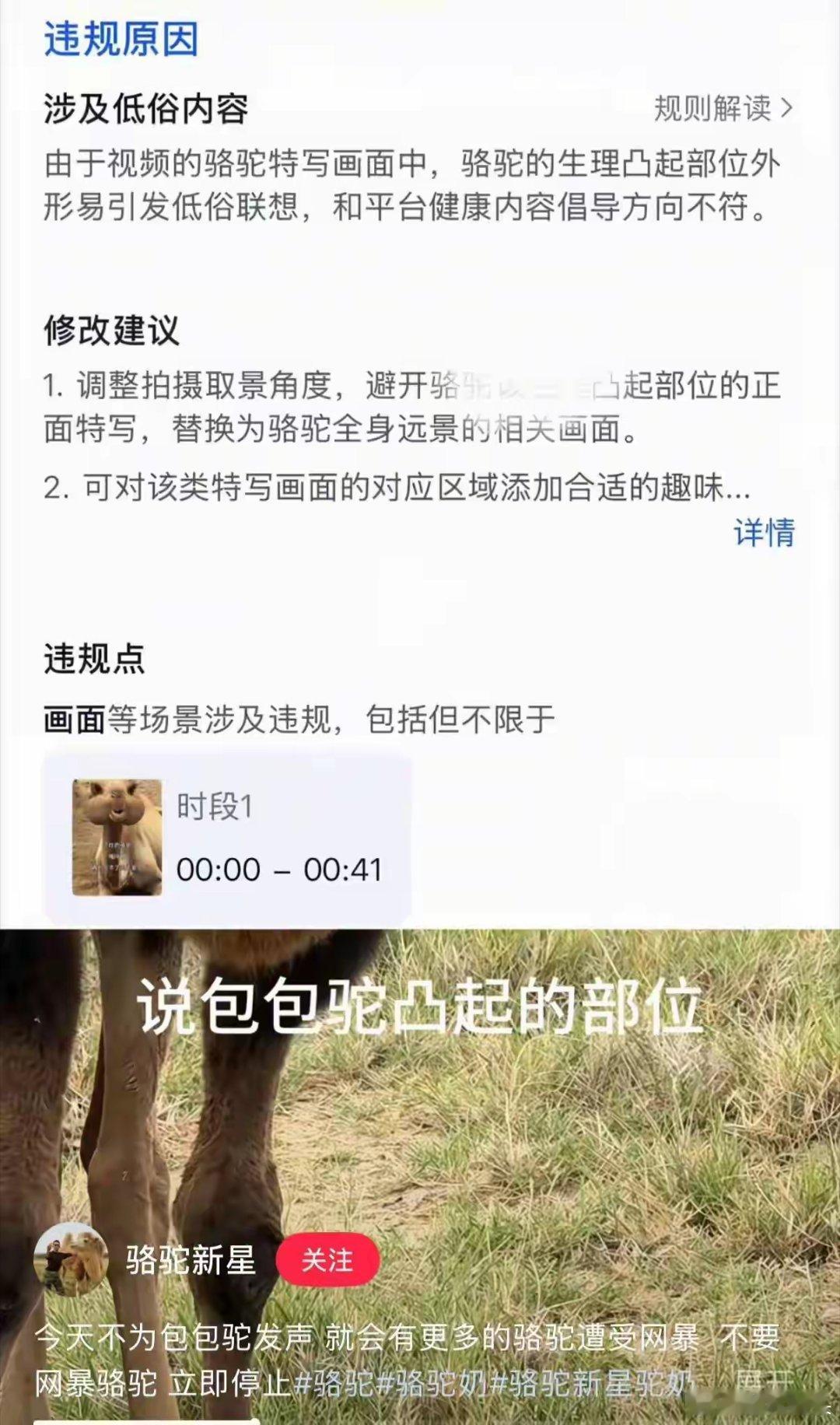 骆驼照片都能引发低俗联想？后台审核，外包给三哥了？