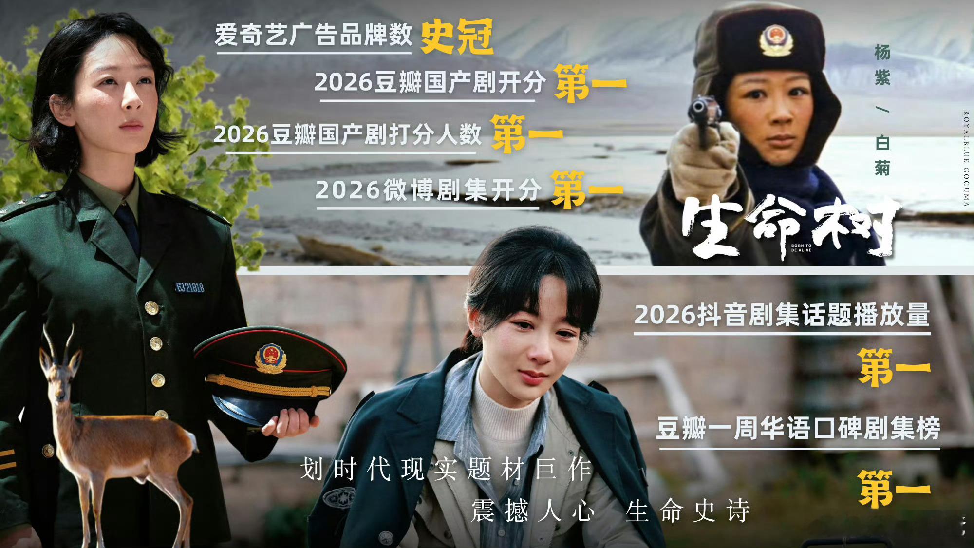 我肚子笑痛了感觉是把能写的全写上了我第一次见战报写豆瓣评分人数和微博开分的没一个