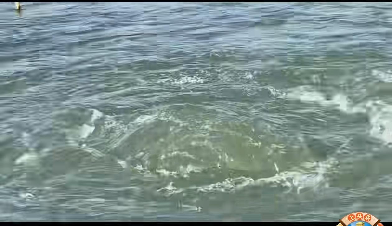南水北调让郑州泉水重涌！郑州出泉水了，有温泉，冰泉。一时间梨园河村温泉成了网红地