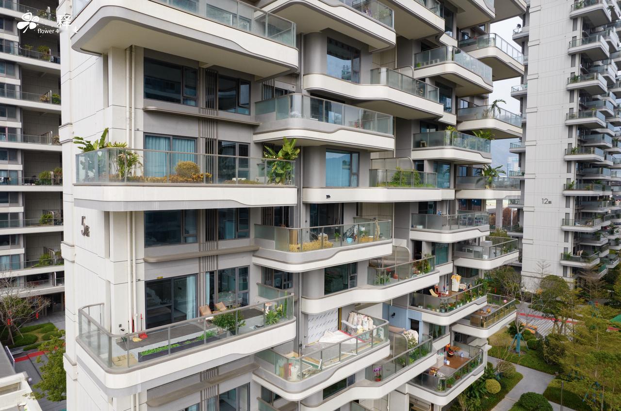 第四代住宅，是所有房子里最大的坑，坑杀了无数喜欢养花的人所谓的花园，只是大一点