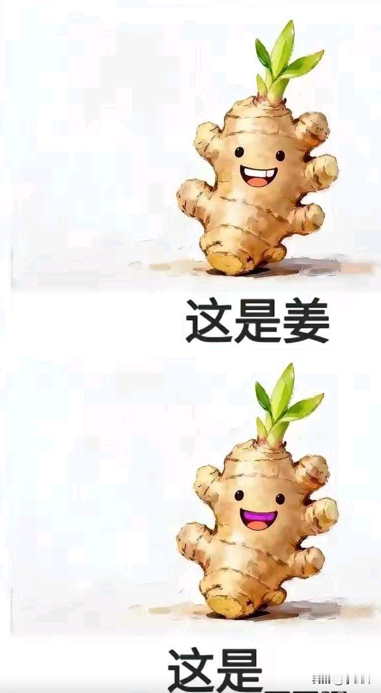 第二个是什么姜？