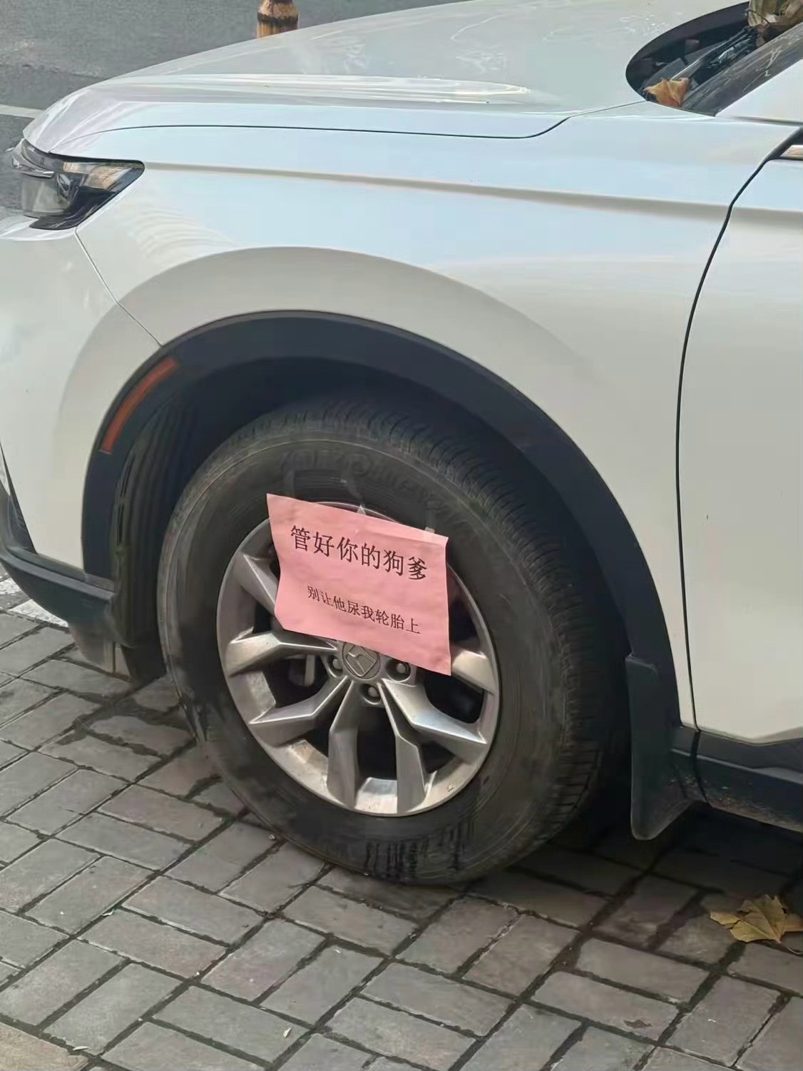 [doge][doge][doge]​​​