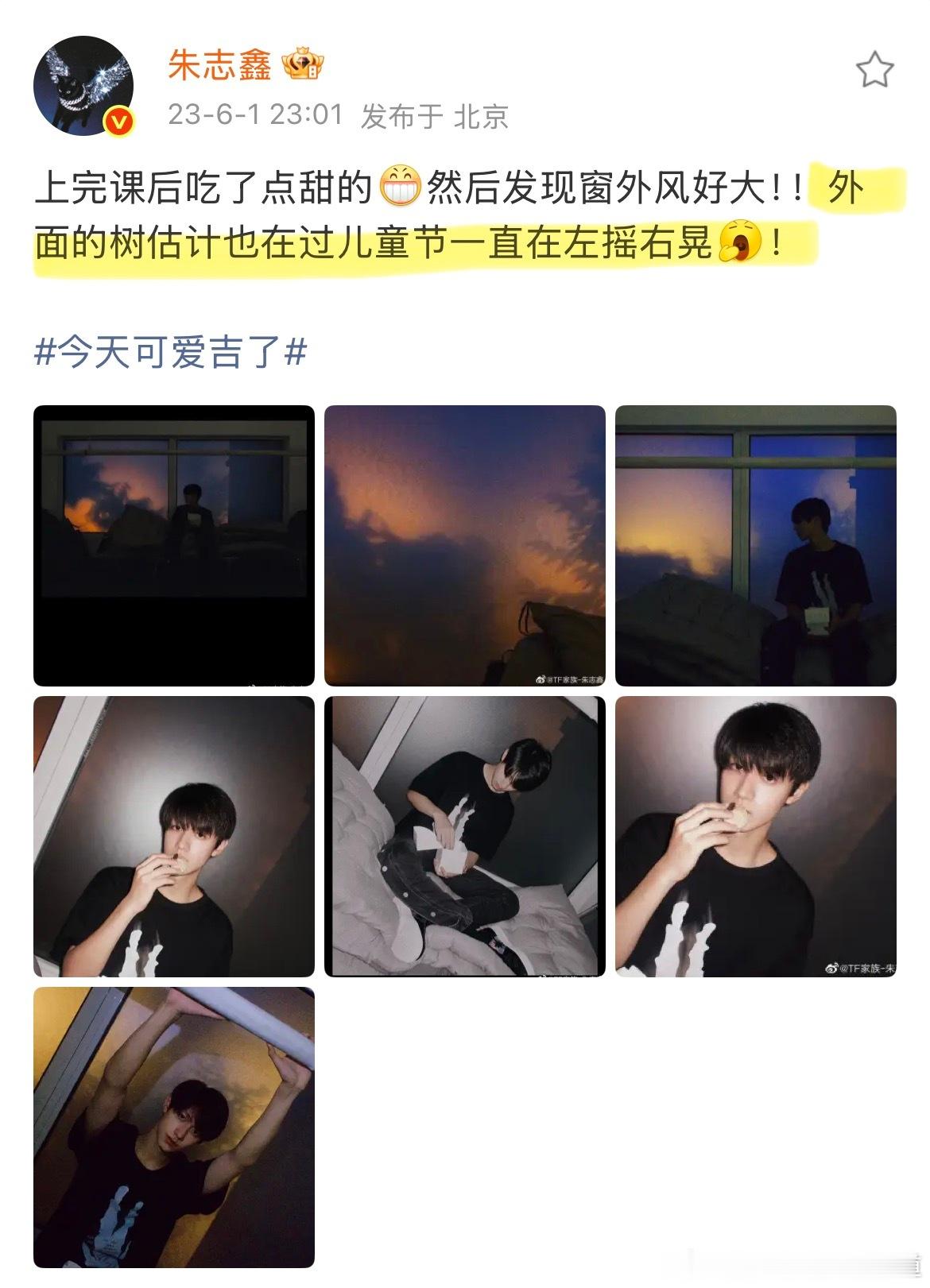 这完全是泛灵期的孩子，“外面的树也在过儿童节🧒”