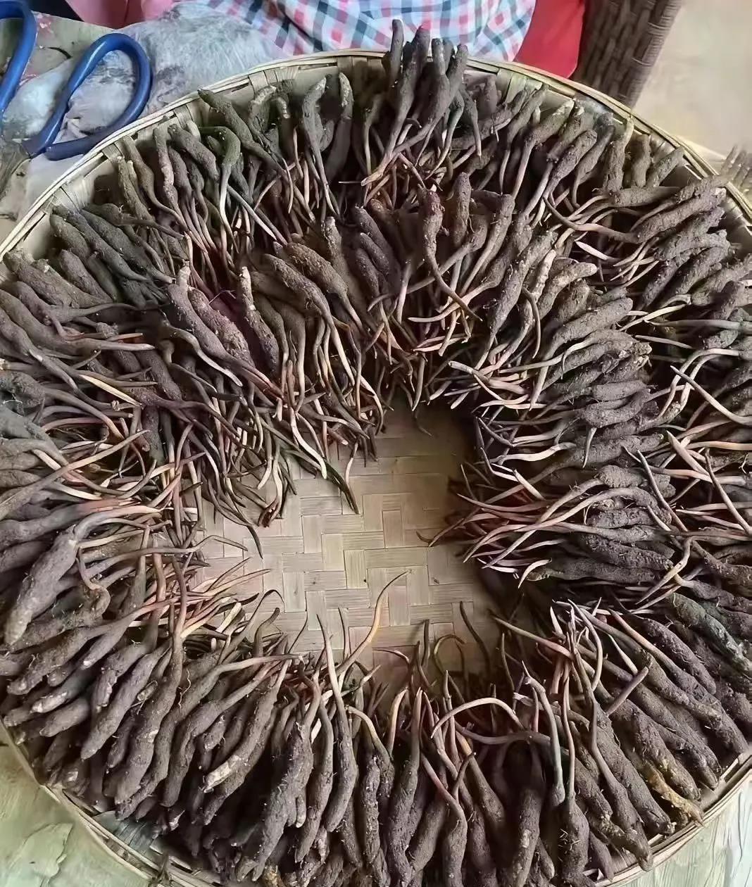 今天去闺蜜家做客，她婆婆端上来这道菜，一看我不愿意吃，好尴尬，你吃过吗？你们觉得