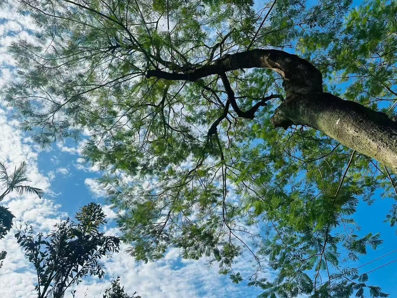 广东一对夫妻离婚，孩子只有两岁，判给了妻子，丈夫每个月给1500的抚养费，离婚四