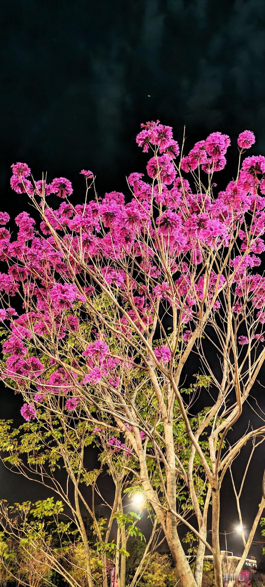 果然男人是不会说离婚俩字的，但他们却善于使用伎俩逼女人说出离婚俩字。现在回想起