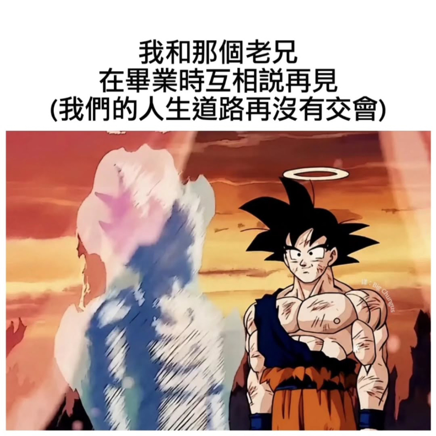 不再见👋memes