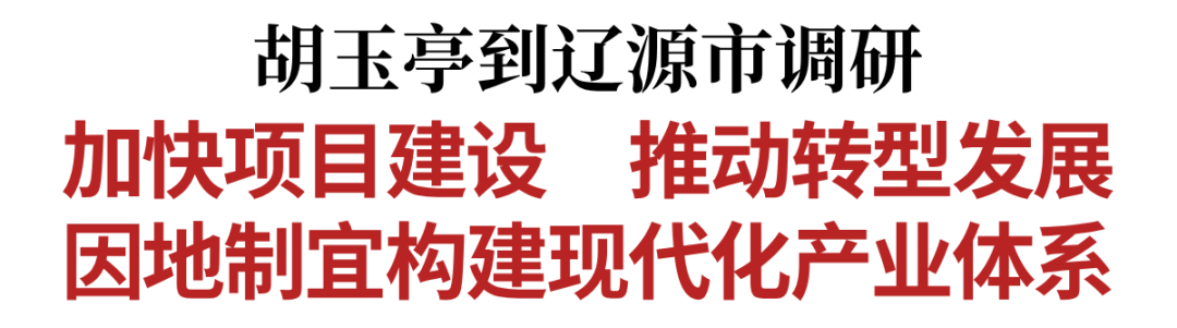 胡玉亭到辽源市调研