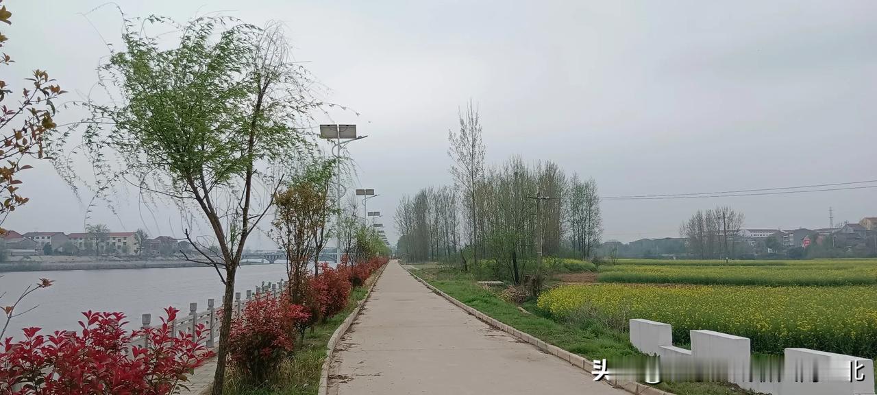 摩托车的离合器作用是什么?1.保证平稳起步2.在制动时，离合器能够切断发动机