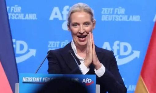 德国选择党党魁魏德尔曾坦率表态，她表示，纵观中国历经百年磨难与沧桑的发展历程，这