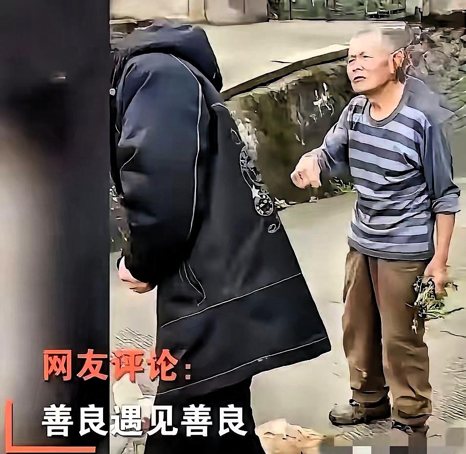 “太感人了！”重庆，一位年轻人下乡办事，行驶在路上时，一只土鸡突然从路边草丛窜出