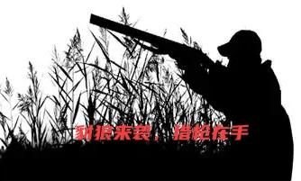 菩萨心肠与雷霆手段：中国崛起需要两手都要硬内圣外王从来不是空洞说教，而是千年