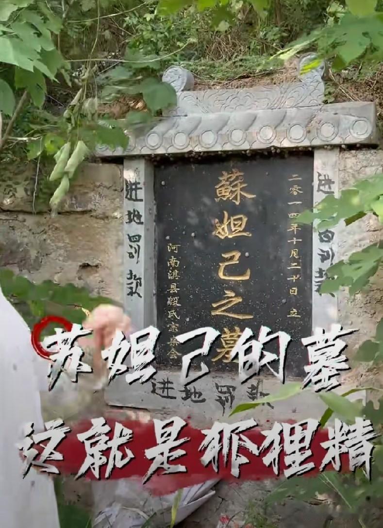 历史上的妲己把纣王迷得神魂颠倒，最后亡了国，现实版的妲己霍家二公子执意迎进门妲