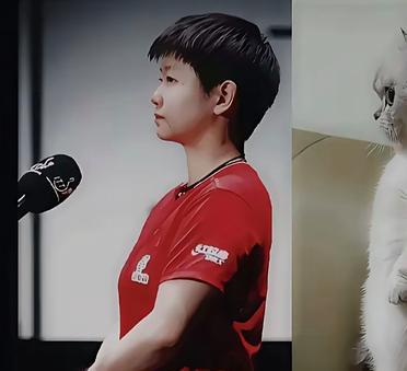总算知道莎莎为啥叫猫猫了！网友找的小猫图跟她表情神同步，也太像了吧！之前那
