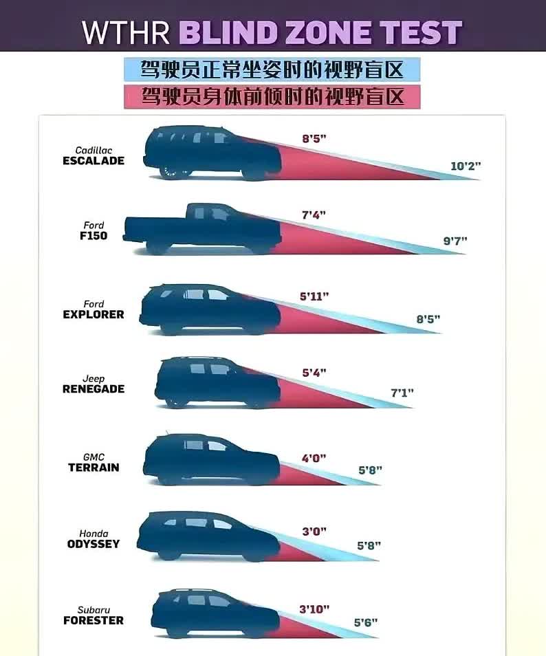 终于知道为什么开SUV会更累了…坐得高可能看不远！