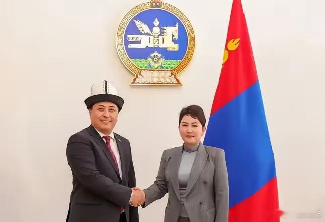 蒙古国突然宣布了！蒙古政府宣布将放宽外资矿产投资限制，允许外国企业持有战略性矿产