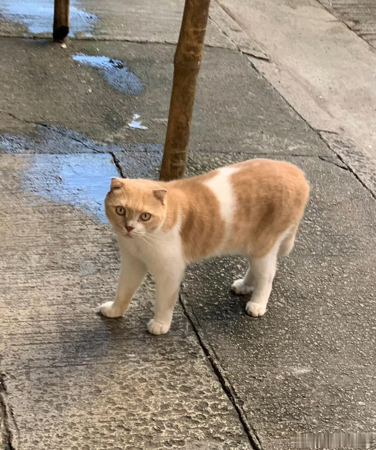 一切药物对治病来说都是治标不治本，不管是中医还是西医。一切的病都是错误的因产生错