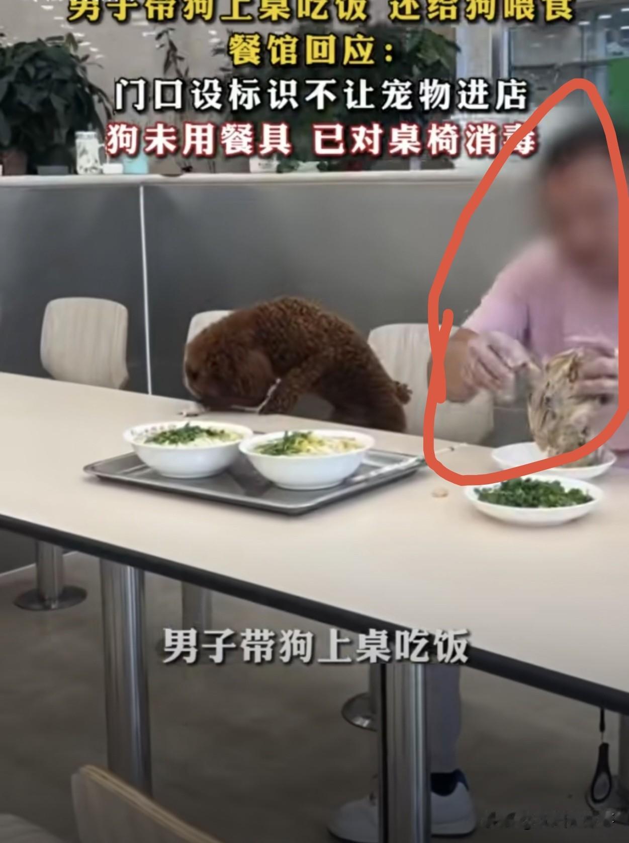 沈阳老四季停业整顿！最该罚的，真的是饭店吗？😡沈阳人熟悉的老四季，这