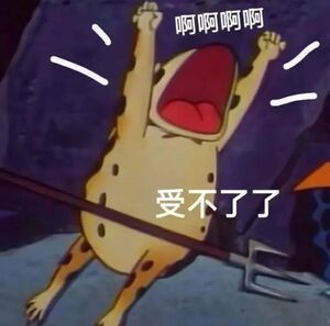 一刷朋友圈，一片在路上羡慕
