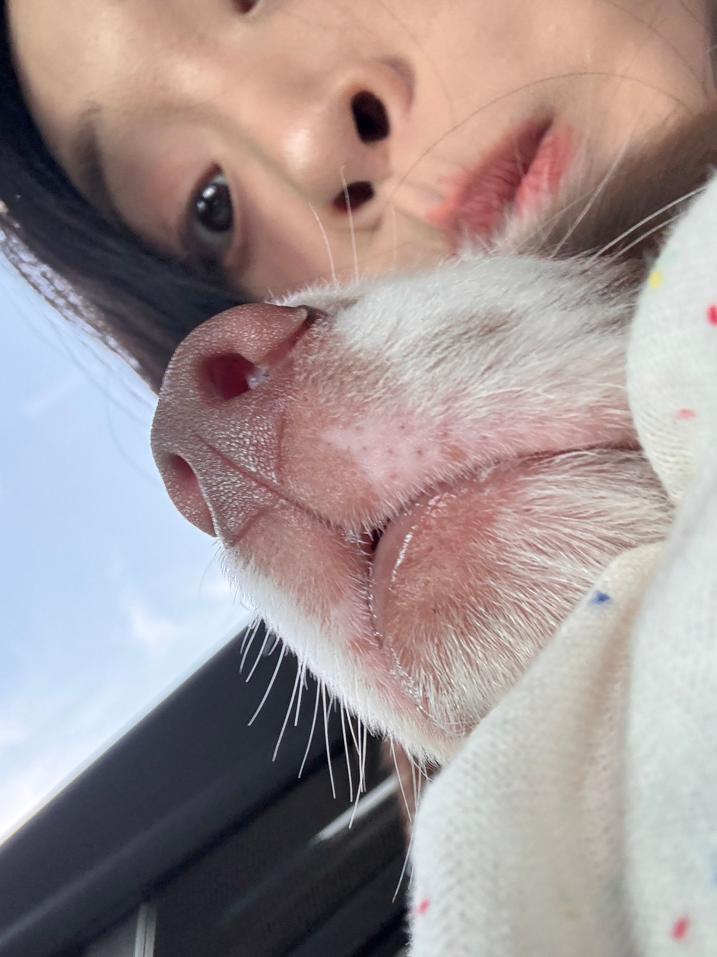 好可爱的浣浣🐶​​​