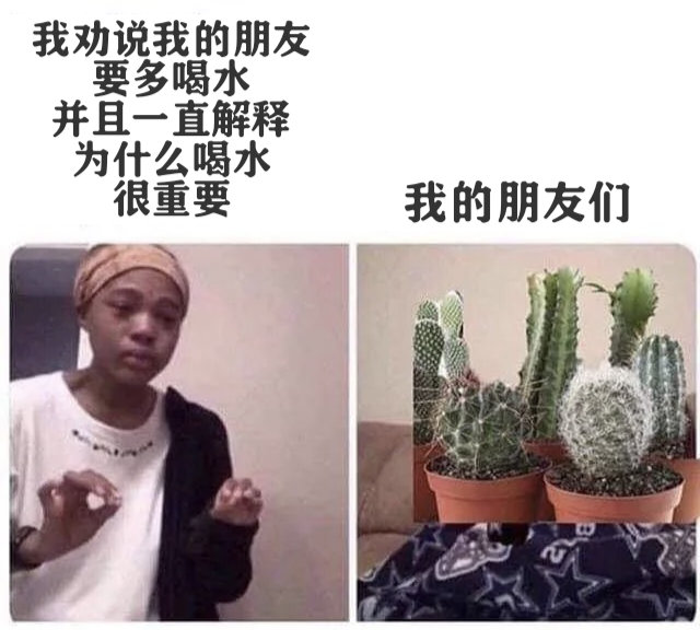 咋回事。meme