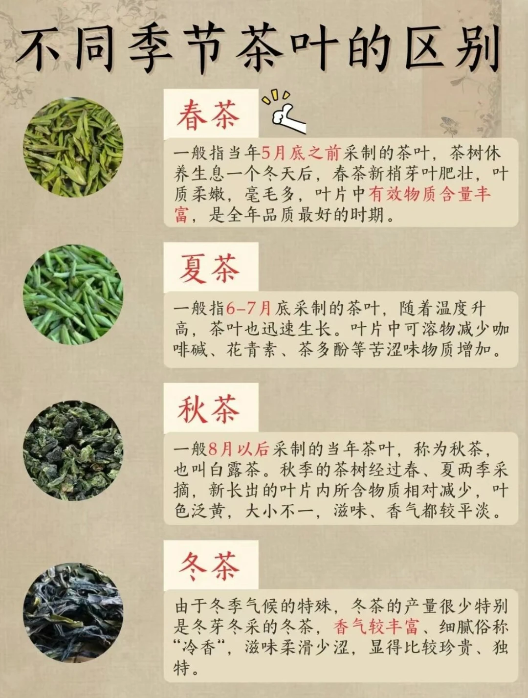 不同季节的茶叶区别，你都知道吗？
