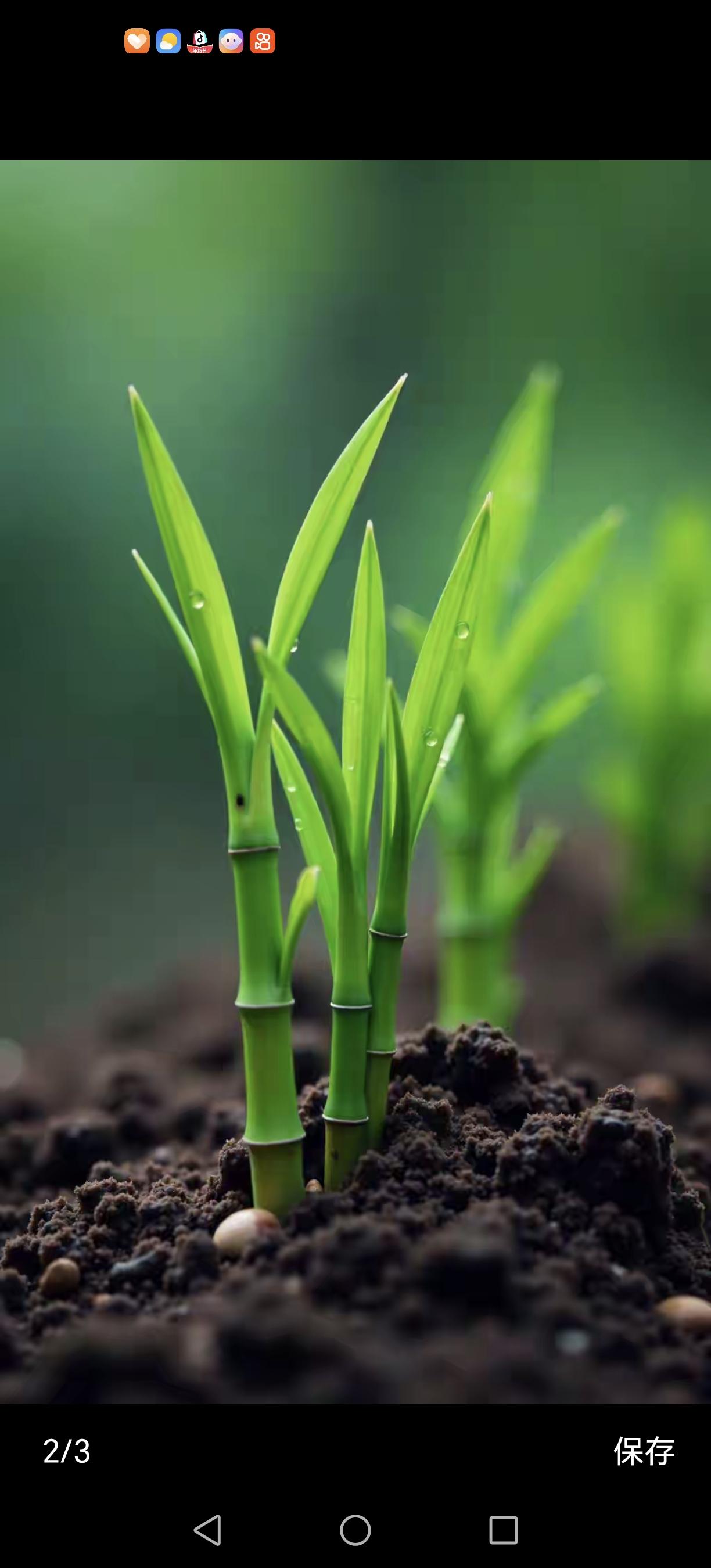 当你什么都不在乎了，你的人生才是真的开始大家好，今天咱们不说那些华丽的词藻，