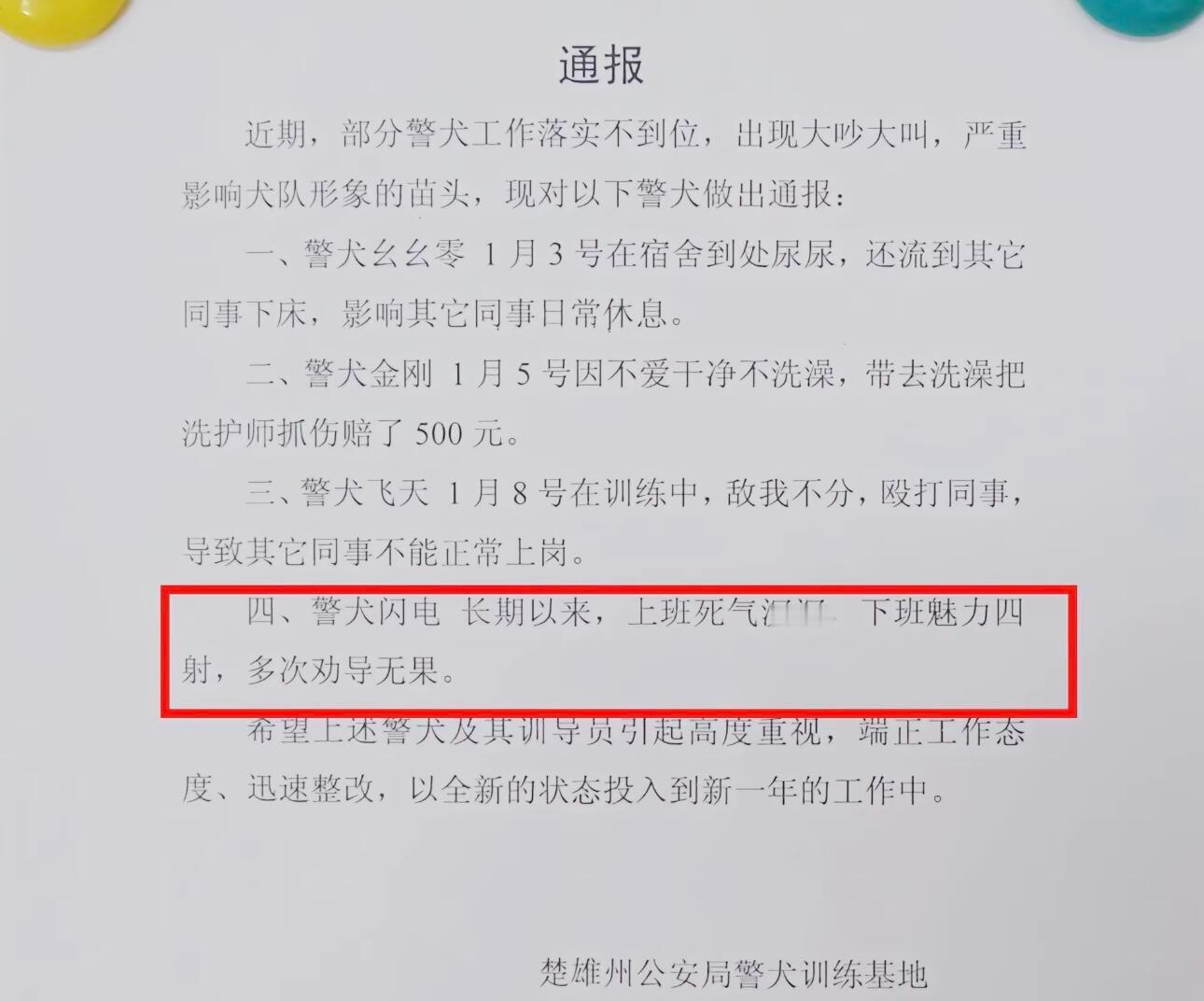 警犬：本来是全局通报。好了，现在成全国通报了