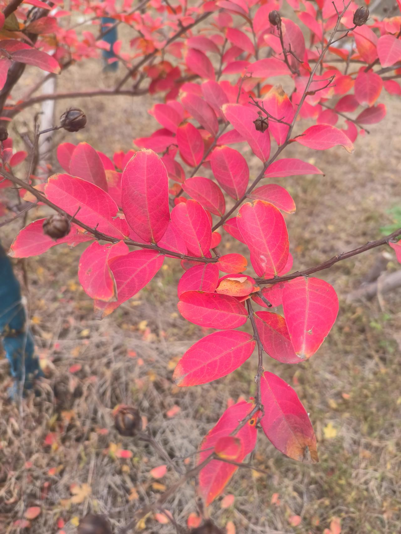 一位年轻教师很苦恼，说起了几个细节，很伤心。一位老校长说，职场一定不容易，能