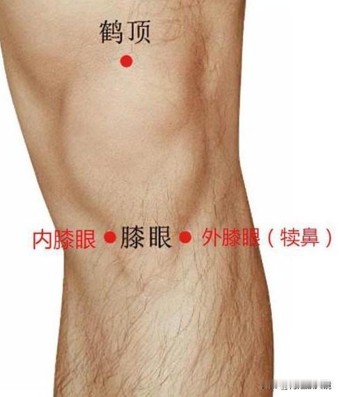 膝盖疼、上下楼费劲的姐妹看过来！我天天按这俩小窝，舒服多了姐妹们，说句掏心