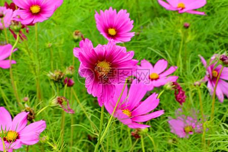 中国文化博大精深，那它的灵魂究竟是什么呢？有人说是“和而不同”，这短短四个字，真