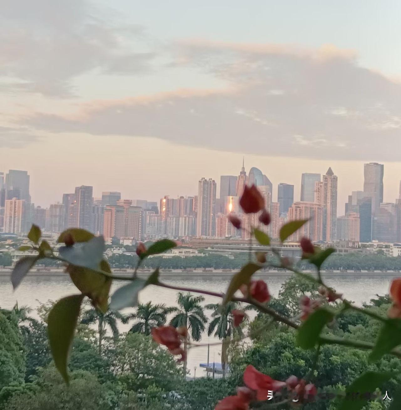 农村又冒出了怪现象！农村自古以来都是家产给儿子。由儿子赡养父母，女儿就是嫁出