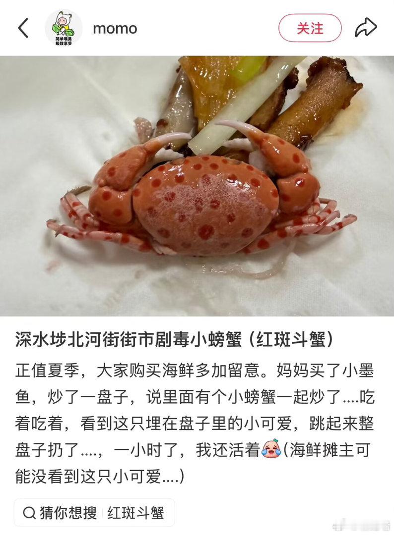 感谢网友让我认识了蓝环章鱼，现在又认识了红斑斗蟹​​​