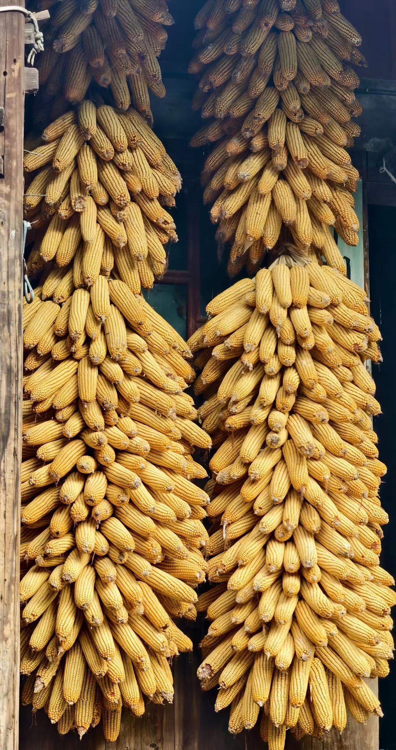 现在全网都在讨伐梁某峰，因为啥，因为他搞得的量化模型，把A股市场搞得乌烟瘴气，整