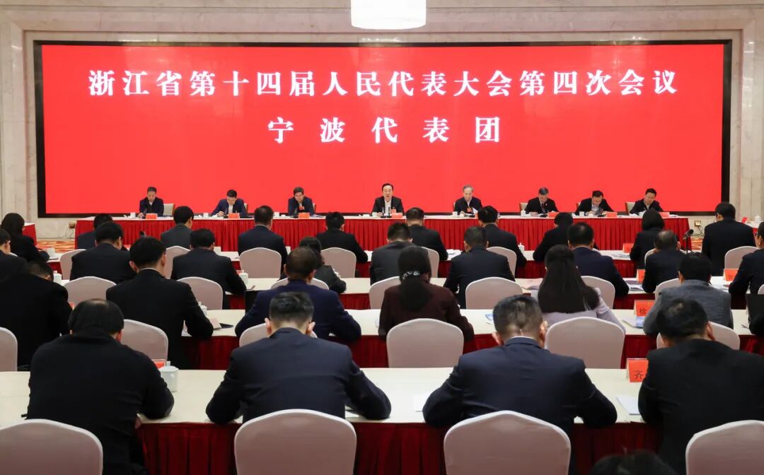 王浩参加宁波代表团审议