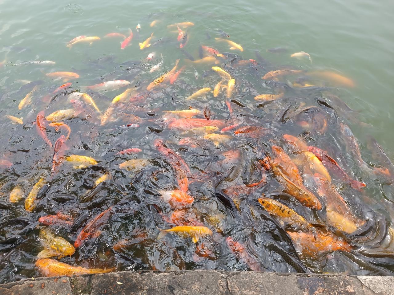 不要退休！不要退休！我弟媳55岁，当了35年教师，想退休了，可聚餐时，一个亲戚