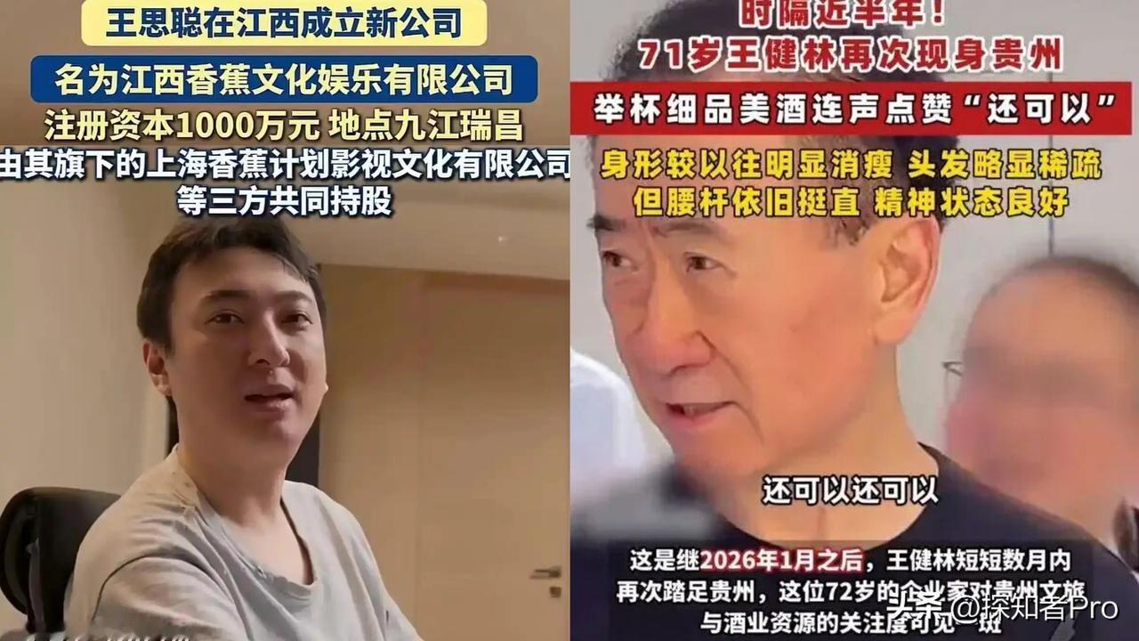 王思聪，半年投资6家公司王健林继续在“卖、卖、卖”，为债务发愁王氏父子，都在