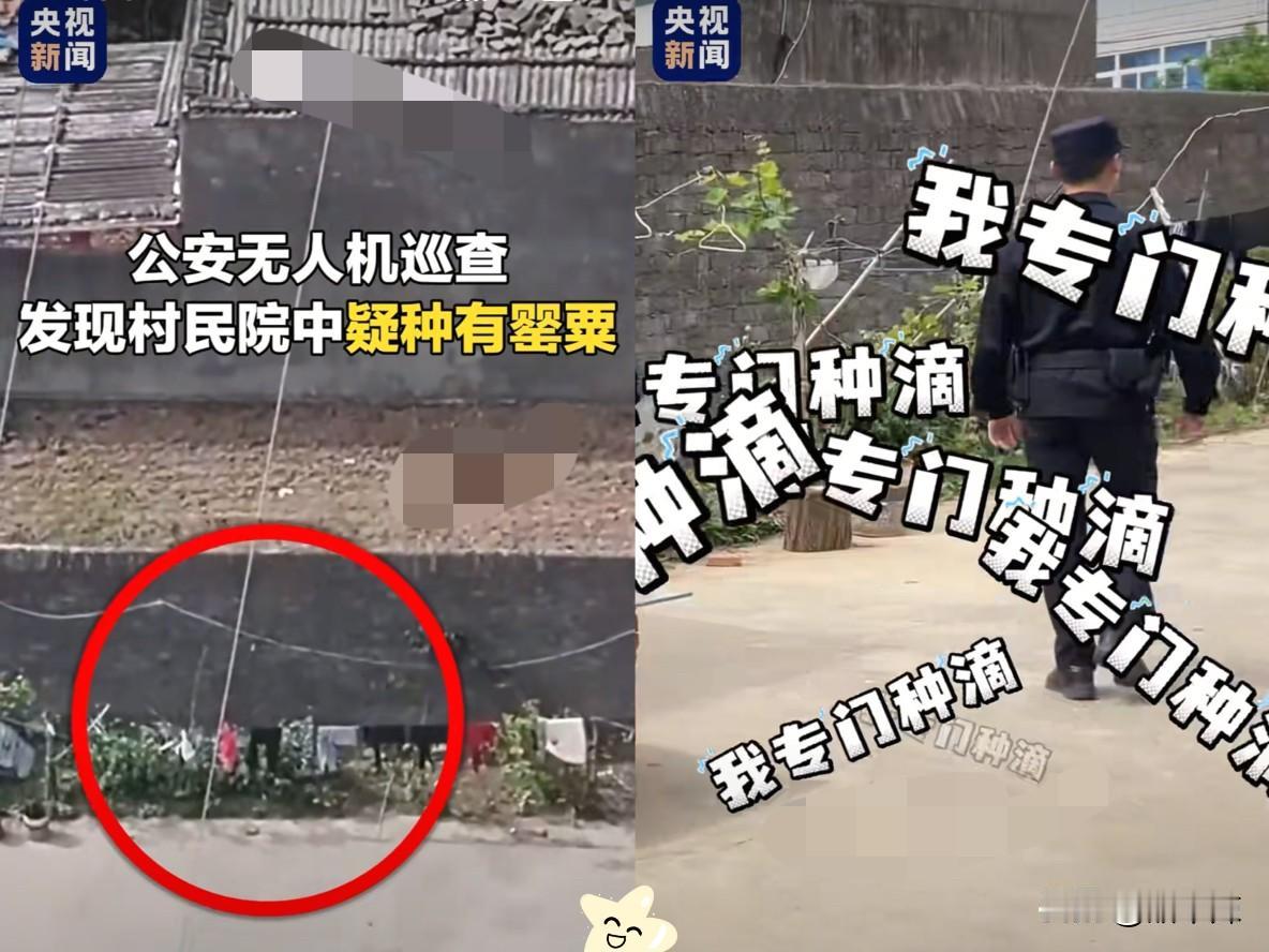 “我专门种的罂粟！”湖北，大爷种了一院子罂粟泡水喝，民警通过无人机追踪到户，结果