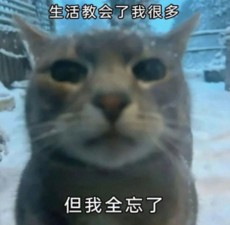 生活教会了我很多