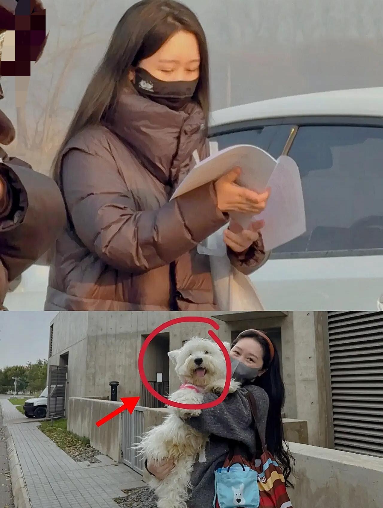 终于知道为什么，现在这么多人骂这个papi妈了！她虽然赢了官司，但是她忽