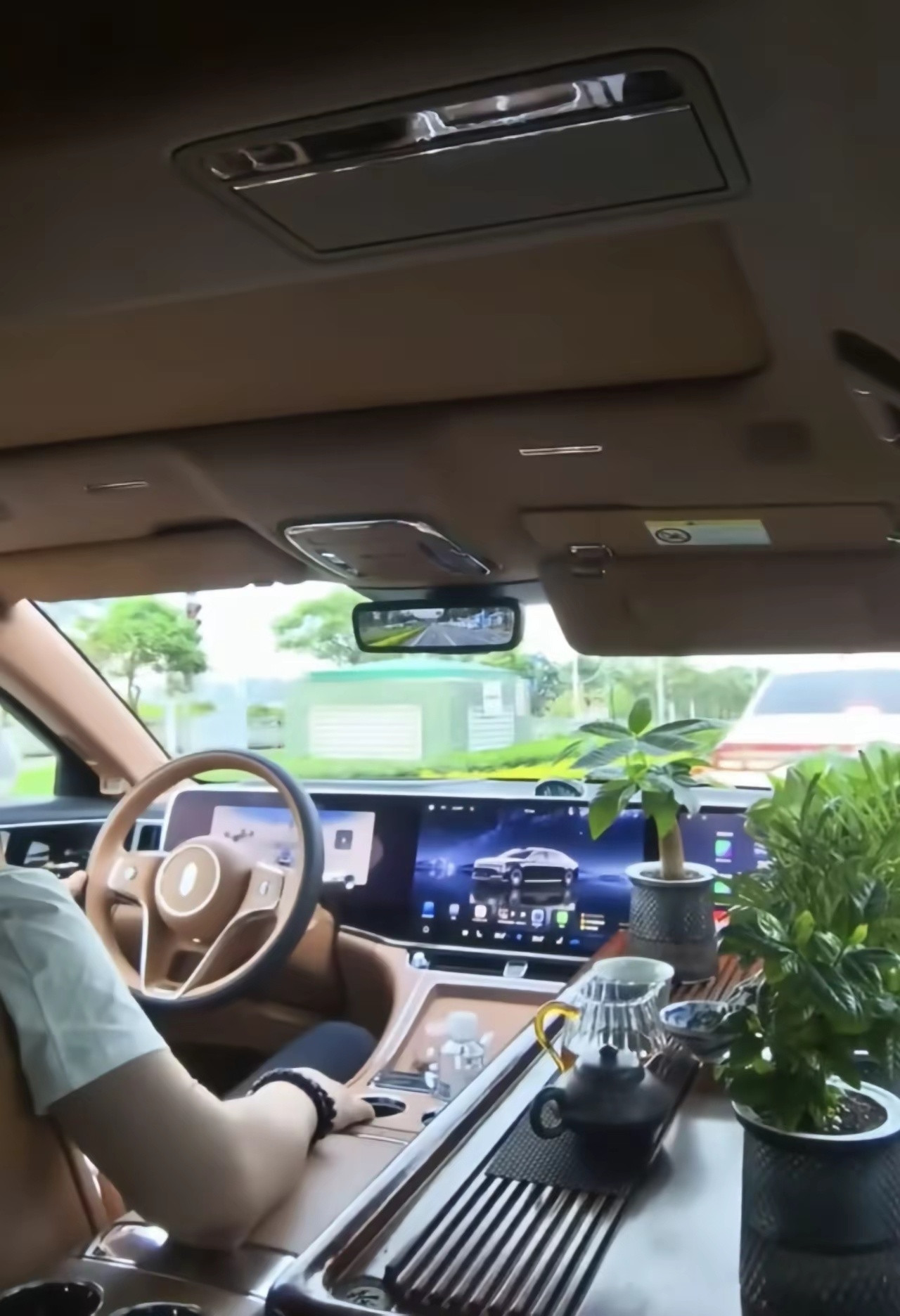 城会玩，刚看到个尊界S800车主有点东西，属于是高明远同款副驾，茶台、鱼缸、绿植