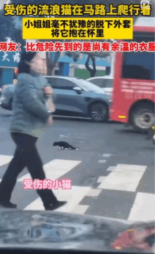 暖心了。对于这只小猫咪而言，女孩的出现犹如天使般降临了。这只受伤严重的小猫，拖