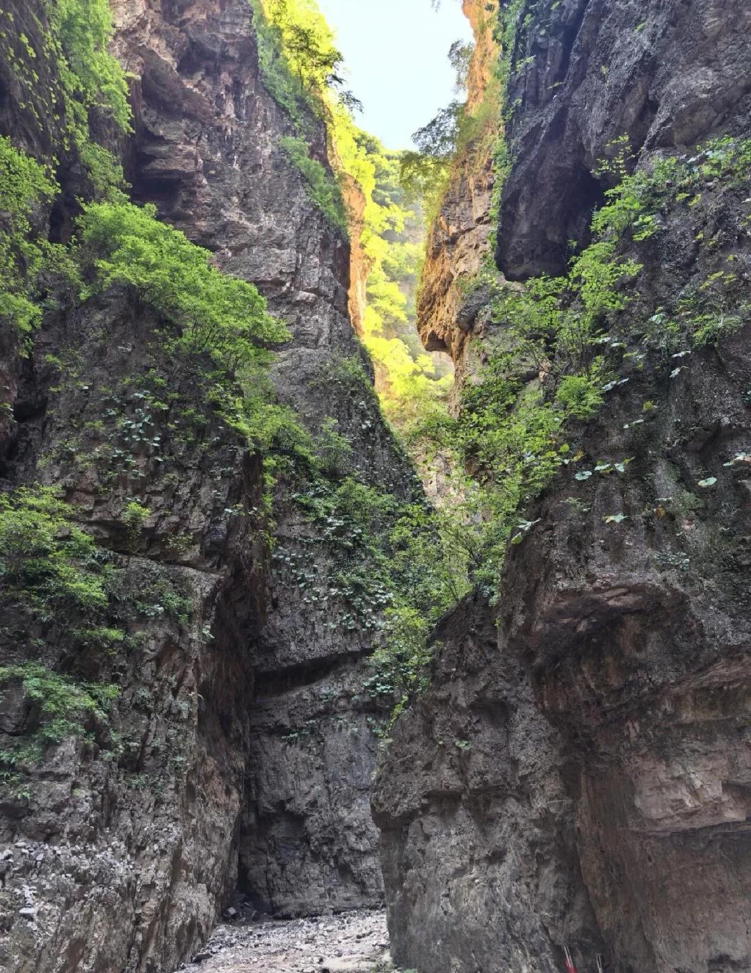 在南石洋大峡谷徒步2万步8月尝试去过一次，因为暴雨到了景区停车场被劝返。这次借