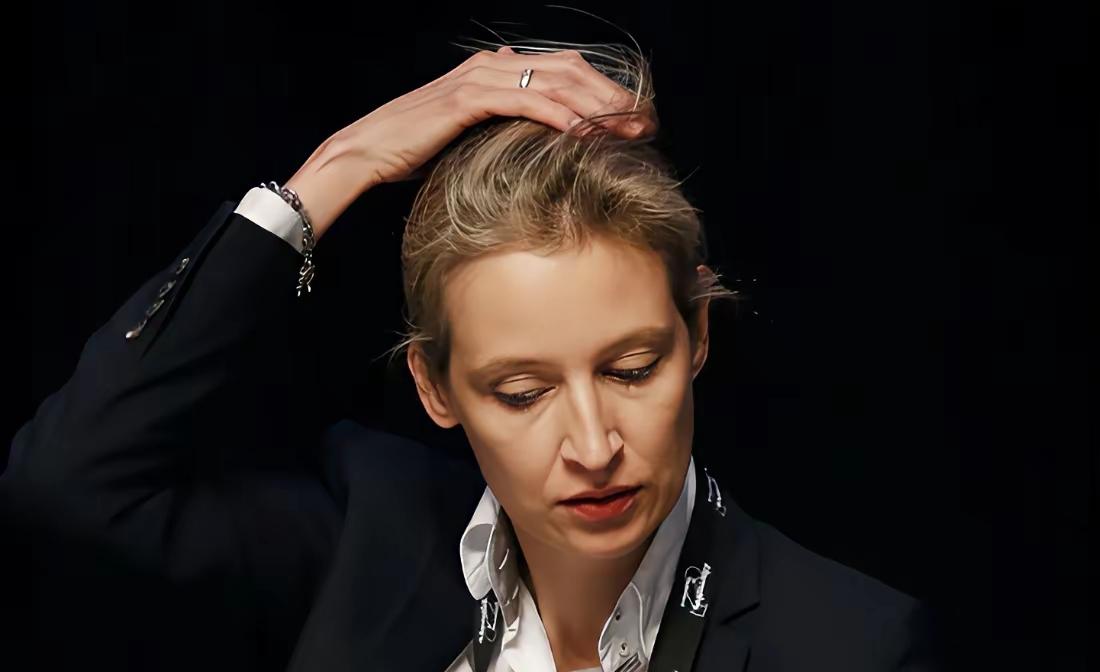​真是令人难以置信，德国选择党正在做一件至关重要的事情，他们凭借民意的支持率极高