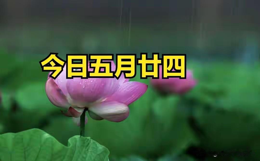 不是迷信！今日五月廿四，记得：1不晒、2不急、3不动，早了解农历五月廿四，
