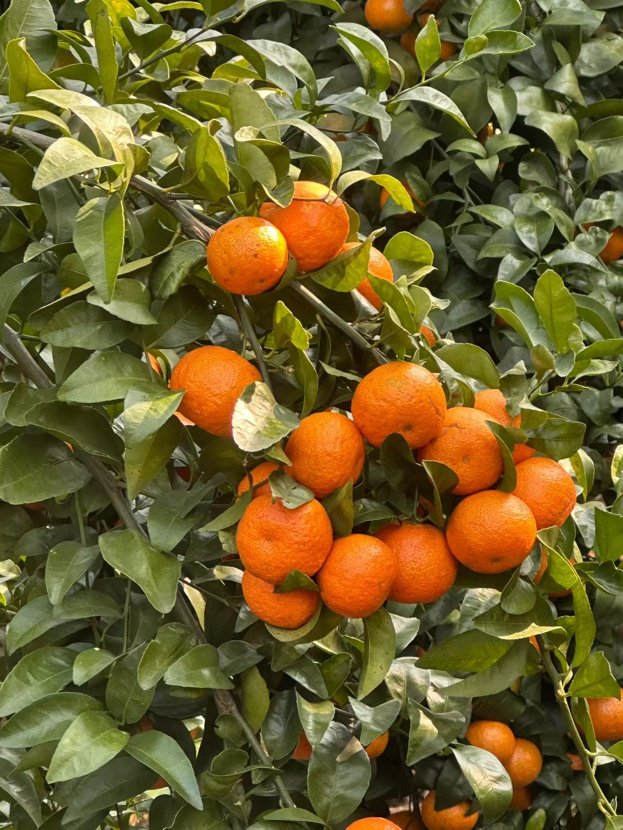 生活最重要的是什么？我觉得从不是追不完的钱和比不完的人。无非是三餐温饱，家人安康